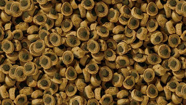 sera reptil Professional Herbivor Nature - detalle pellets